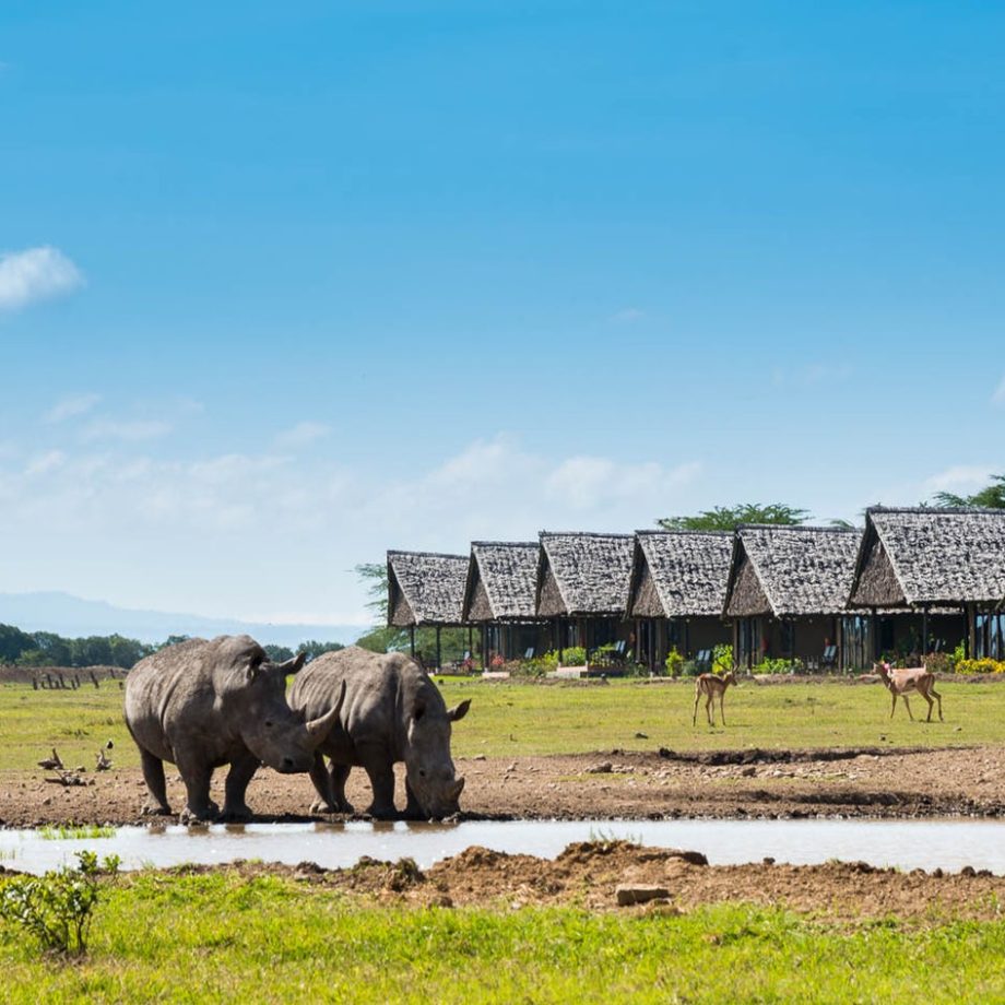 4 DAYS PRIVATE SAFARI TO OL PEJETA CONSERVANCY AND SAMBURU NATIONAL