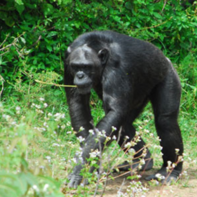 safari companies in nairobi kenya