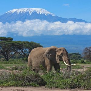 16 daagse safari best of kenya
